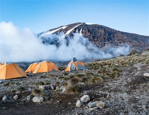 Kilimanjaro Trekking Packages - domestictourismsafaris - Medium