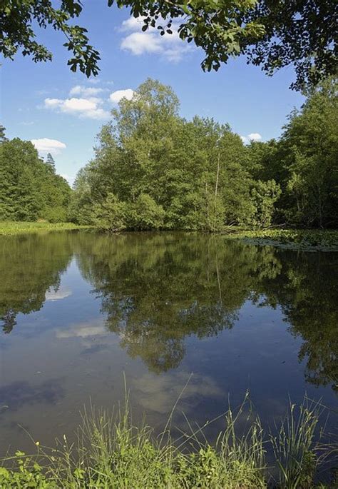 Pin By Marsha Lingle On Lakes And Rivers Water Art Water Reflections