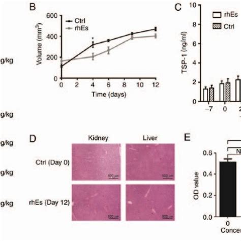 A J Rhes Induced Tumor Vasculature Normalization In Sw Bearing