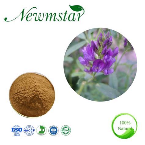 Natural Alfalfa Extract Powder Medicago Sativa Extract For Health