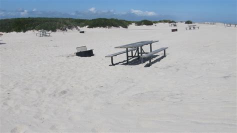 Assateague Island National Seashore Campground Filngreen