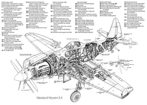 Westland Wyvern - Alchetron, The Free Social Encyclopedia