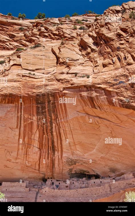 Desert Varnish On Skeleton Mesa Cliff Over Keet Seel Ruins At Navajo