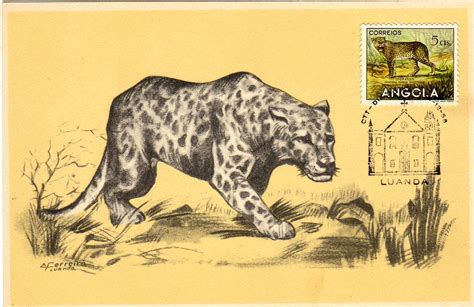 Image - Angola 1953 Animals from Angola u.jpg | JPP-Stamps Wiki ...