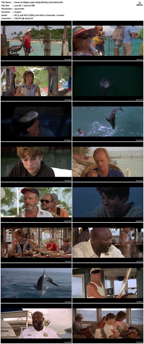 Flipper 1996 1080p Bluray X264 Nikt0 Softarchive