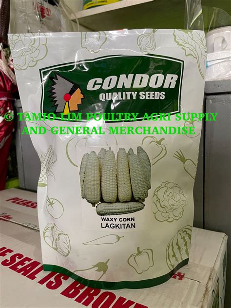 Condor Seeds Waxy Corn Lagkitan Lazada Ph