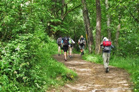 Quedadas Málaga Excursiones desde Málaga Quedadas