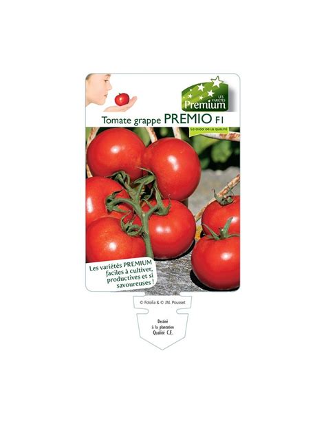 TOMATE Grappe PREMIO F1