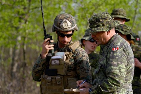 DVIDS Images 1st ANGLICO Canadian Armed Forces Call Down Lightning