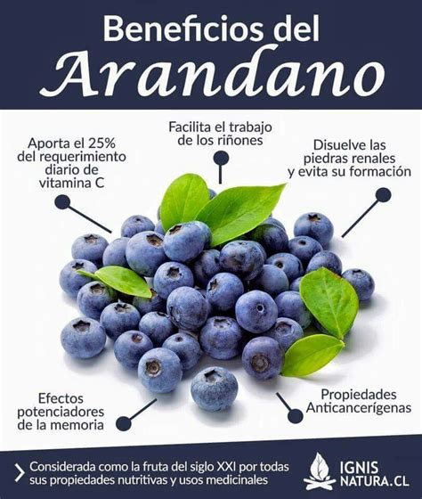 Beneficios De Los Arandano Alimentos Frutas Y Verduras Beneficios