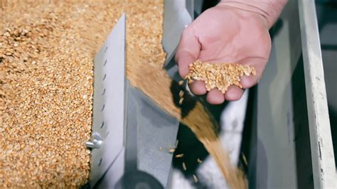 Wheat Mill Stock Video Footage for Free Download