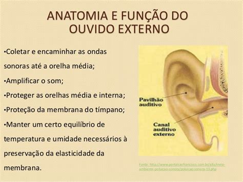 Sentido Da Audição: Para Que Serve, Partes, Como Funciona – UMRDTQ