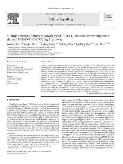 Sh B Enhances Fibroblast Growth Factor Fgf Induced Neurite