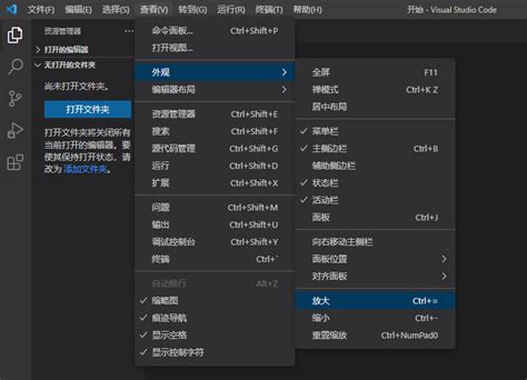 Visual Studio Code VS Code 意外放大后恢复设置 清风亦平凡