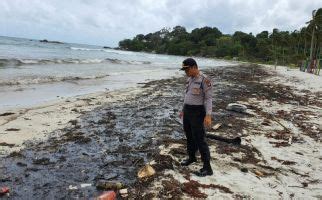 Berita Pantai Tercemar Limbah Minyak Terbaru Hari Ini