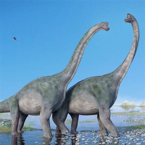 Por Qu Algunos Dinosaurios Alcanzaron Tama Os Tan Enormes