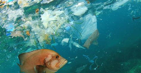 How Could Earths Plastic Pollution Problem Look By 2040 Heres What