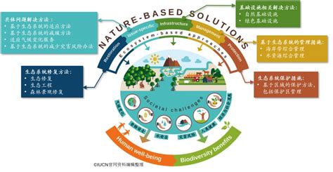 你所知道的“基于自然的解决方案”nature Based Solution Nbs 亚洲环保创新论坛aeif