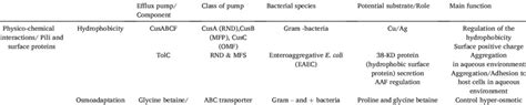 Summary Of Likely Efflux Pumps Involved In Early Stage Of Biofilm Download Scientific Diagram