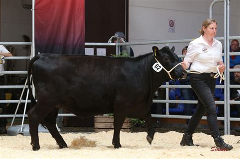 D De Hanna Friederike Brockmann Hessisch