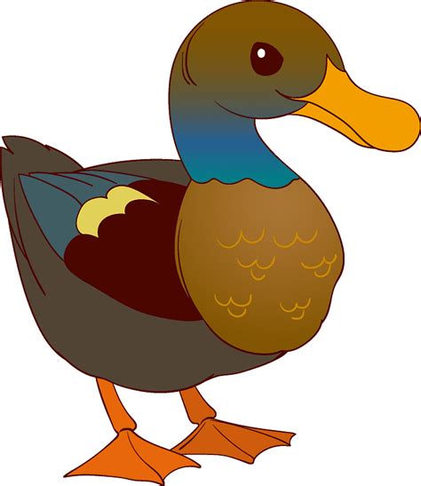 Duck Clipart Transparent 8 Clipart World