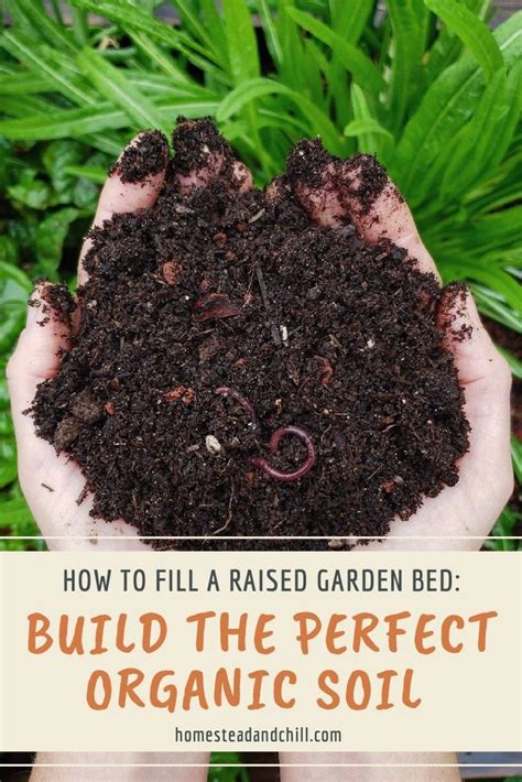 How To Fill A Raised Garden Bed Build The Perfect Organic Soil Artofit