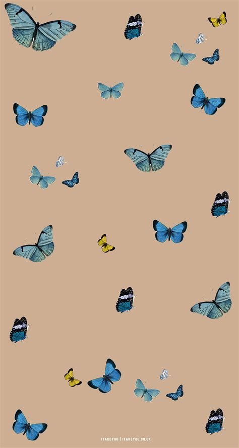 30 Cute Brown Aesthetic Wallpapers For Phone Butterfly Assortment I