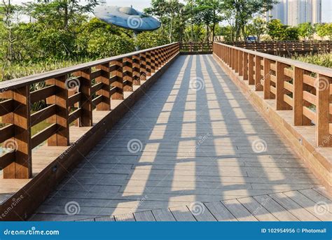 Wood Plank Path In The Park Stock Photo Image Of Floor Empty 102954956