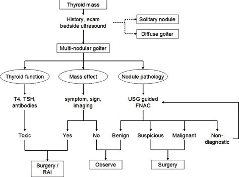 A Review Of The Pathogenesis And Management Of Multinodular Goiter