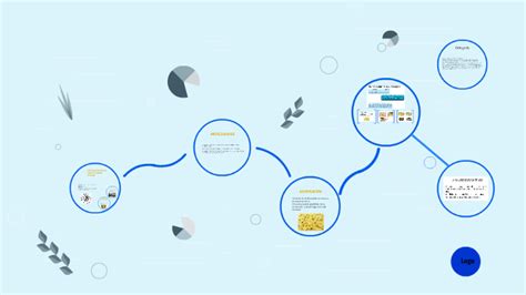 EFECTO DE FRITURA AL VACÍO DE SNACKS BANANO by Andres Cardona on Prezi