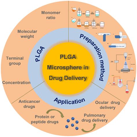 A Diagram Of Plga Based Biodegradable Microspheres In Drug Delivery