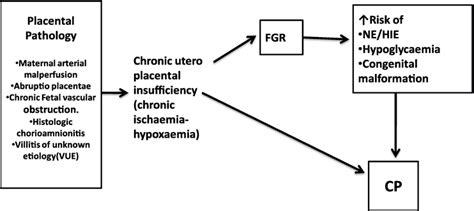 Aetiology And Pathophysiology Of Cerebral Palsy Intechopen