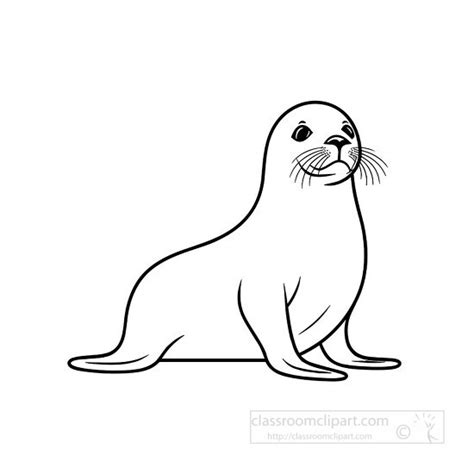 Animal Outline Clipart-cute sea lion black outline clip art