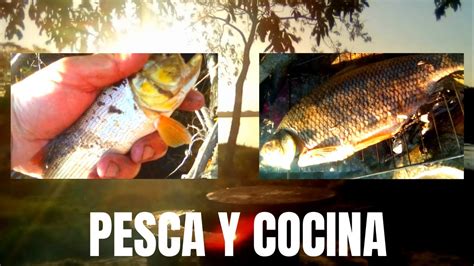 Hermosa Jornada De Pesca Y Cocina En Camping Fishingandcooking Youtube