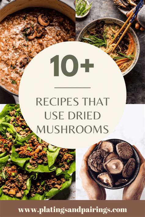 10 Dried Mushroom Recipes How To Use Them Platings Pairings