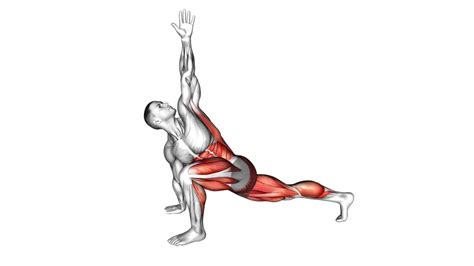 Mastering The Push Up Workout For Beginners - A Step-by-Step Guide ...