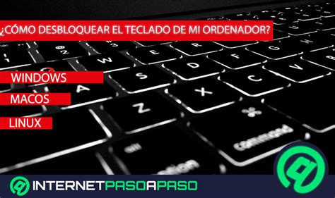 rápido Disparidad a pesar de comprobar teclado pc Roux toda la vida