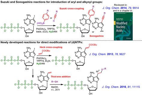 Synthesis Of Modified Nucleoside Triphosphates And Polymerase