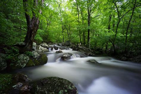 9 Jaw-Dropping Waterfalls in Shenandoah National Park