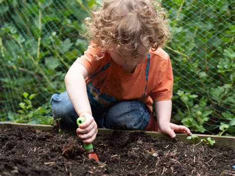 Gardening With Kids 5 Easy Vegetables To Grow • Run Wild My Child