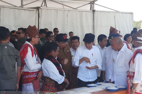 Presiden Tinjau Tambak Di Desa Nunkurus Antara News