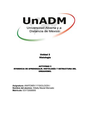 AFI U3 A2 XIMM Unidad 3 Actividad 2 Unidad 3 Actividad 2 Estructura