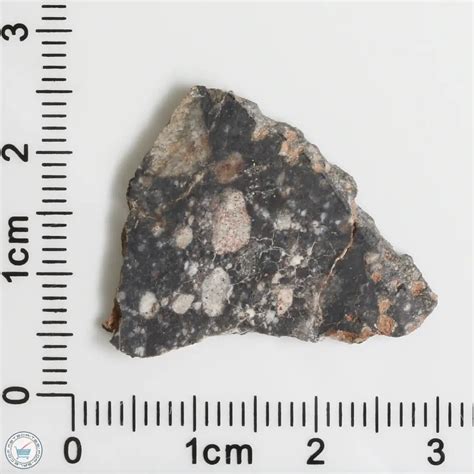 Nwa 11474 Lunar Meteorite 11474 573 The Meteorite Exchange Inc