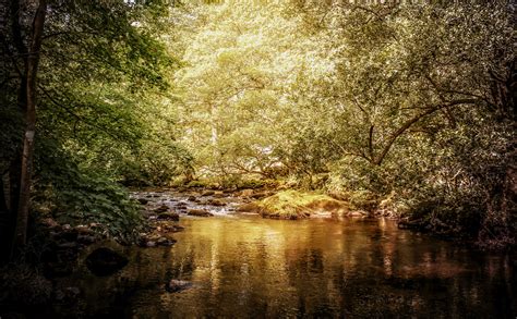 Sun Soaked Rothay Paul Rollison Flickr