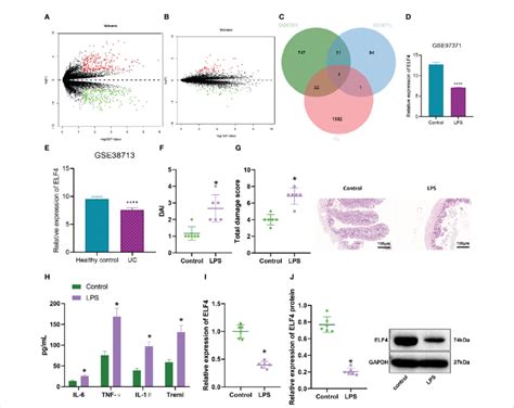 Expression Of Elisa In The Colon Tissue Of Colitis Mice A Volcano