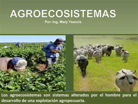 Agroecosistemas PPT