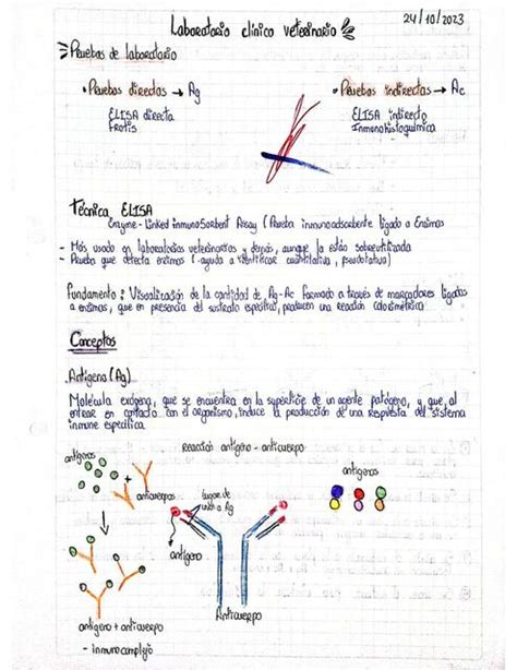 Pruebas De Laboratorio ELISA Ilustraciones Vet UDocz