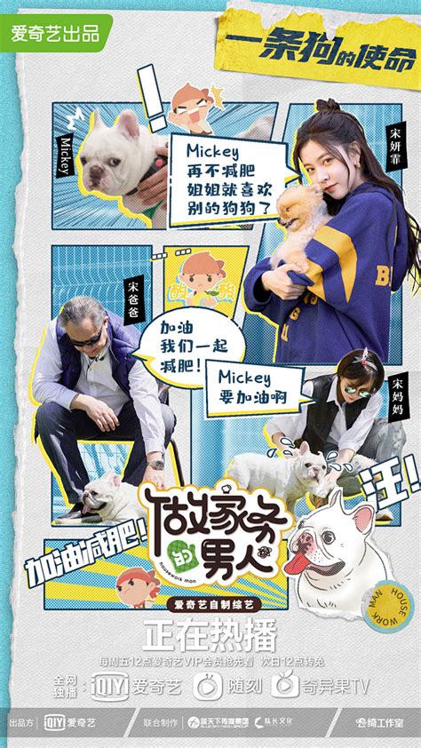 做家务的男人3 综艺海报 家庭海报 创意海报 撕纸 漫画风