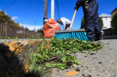 Contin An Los Trabajos De Limpieza Y Embellecimiento En La Ciudad