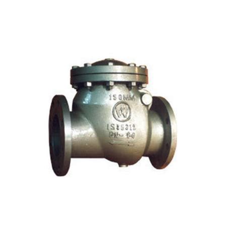 Cast Iron Reflux Valves Cast Iron Reflux Valves Latest Price